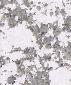 LQ4930 Alaska White (2)