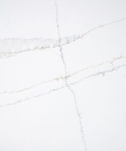 LQ5081 Calacutta Premio (3)