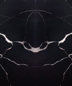 LQ5313 - Amazon Noir (1)