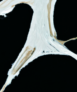 LQ5313 - Amazon Noir (6)