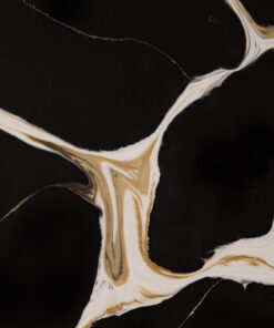 LQ5313 - Amazon Noir (8)