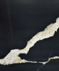 LQ6757 Black Dragon (1)